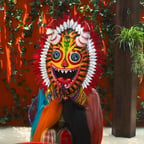 Triki (Quien es la máscara?)