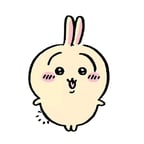 Usagi