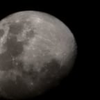 راوي عربي هادئ