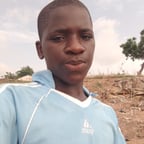Lively Nigerian Narrator