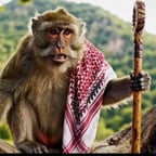 صوت قرد يتحدث مضحك 