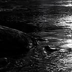 Voz Dramática Expresiva