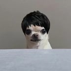 เสียงเล่าเรื่องอาหารโลก