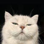 Clear Explainer Voice