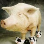 Мужской Голос Рупора