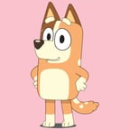 Chilli Heeler Latino