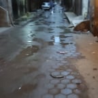 صوت عربي ودود