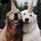 Lively Youthful Voice