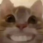 Calm Conversational Voice