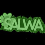 مغامرات سلوى