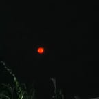 Energetic Contest Host