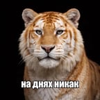 Демо клонирования голоса