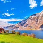 احمد الوائلي 2