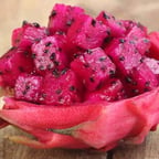 好茶馆12.21-12.23