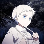 Norman TPN