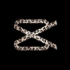 Vrolijke Nederlandse Stem