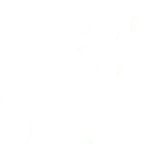 Locutor de Fantasias Animadas de Ayer y Hoy