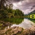 Харизматичный Голос