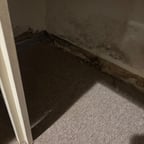 Voz Amigable y Conversadora