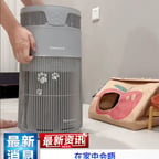 分享欲女声（甜美）