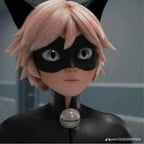 القط الاسود 