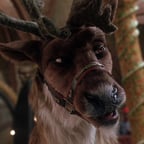 Comet The Reindeer 