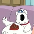 Dynamic Male Storyteller