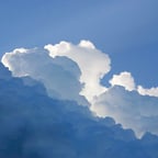 迪老师_男_3_酒-淮河老窖