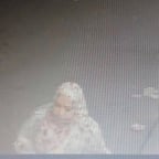 Arabic Melodic Voice