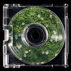 Выразительный Драматический Голос