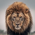 ذكرى فى بالىخالد 