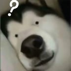 再再再试试东北音