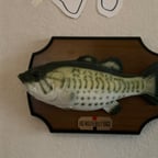 Big mouth Billy bass