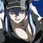 Esdeath Akamegakill 