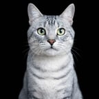 LALOOOO