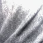 Brujo mayor catemaco 