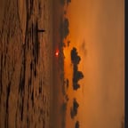 Neuro marketing- ventas