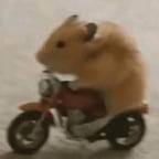 Voz Conversacional Clara