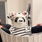 悪口パンちゃん