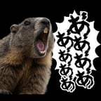 叫ぶマーモット