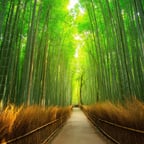 Lively Filipina Host