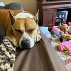 Measured Male Storyteller