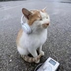 0424几何脚本7
