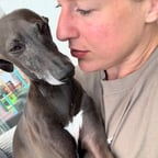 Junge deutsche Stimme