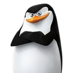 capitão pinguim de Madagascar 