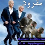 صوت تافه ماله لازمة