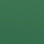 Мужской Диктор