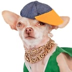 Energetic Rapper Voice