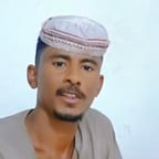 النفيدي رعي الإبل 