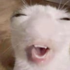 Voz Creativa Española